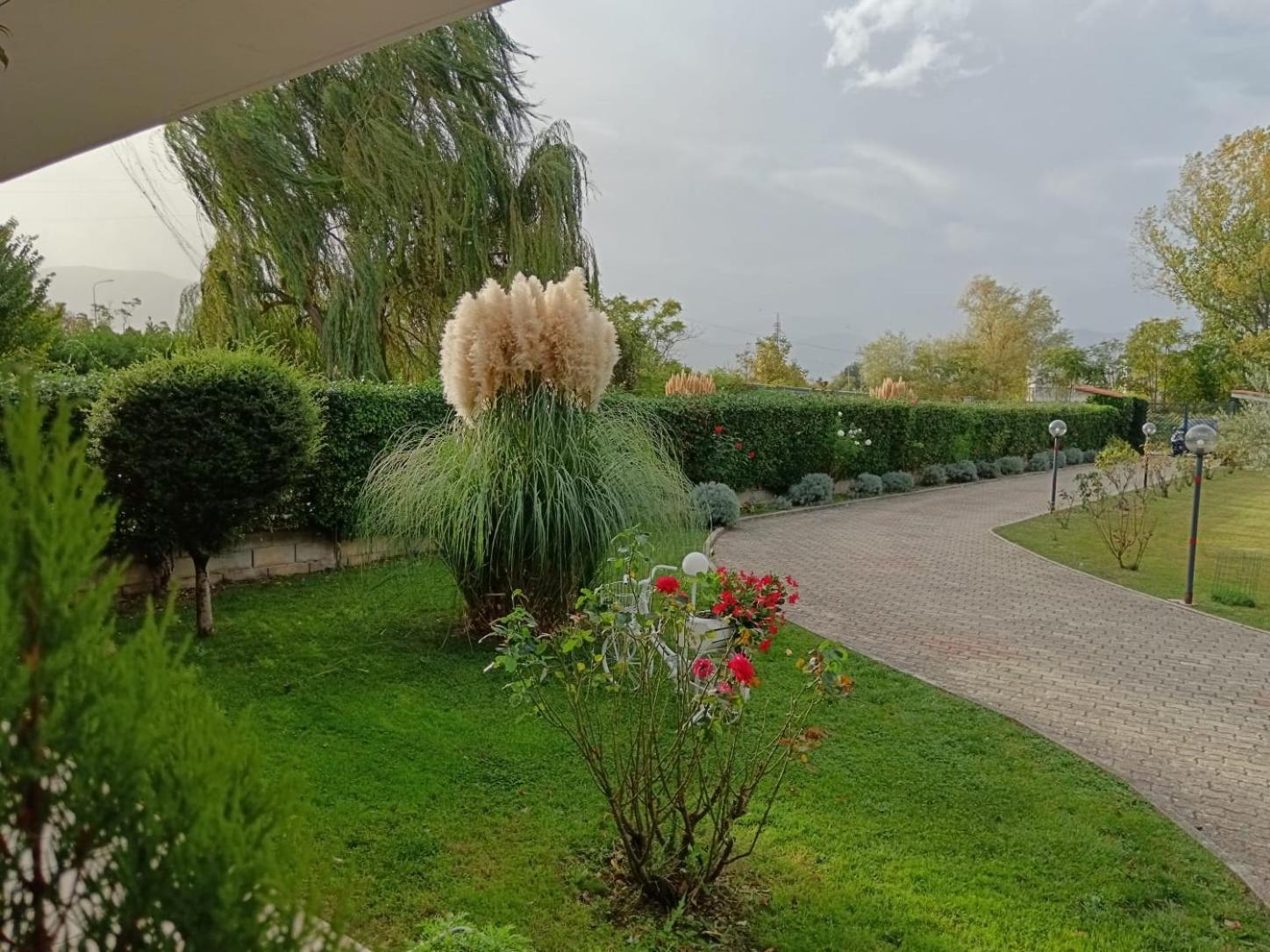 Parco Delle Rose Villa ซุลโมนา ภายนอก รูปภาพ